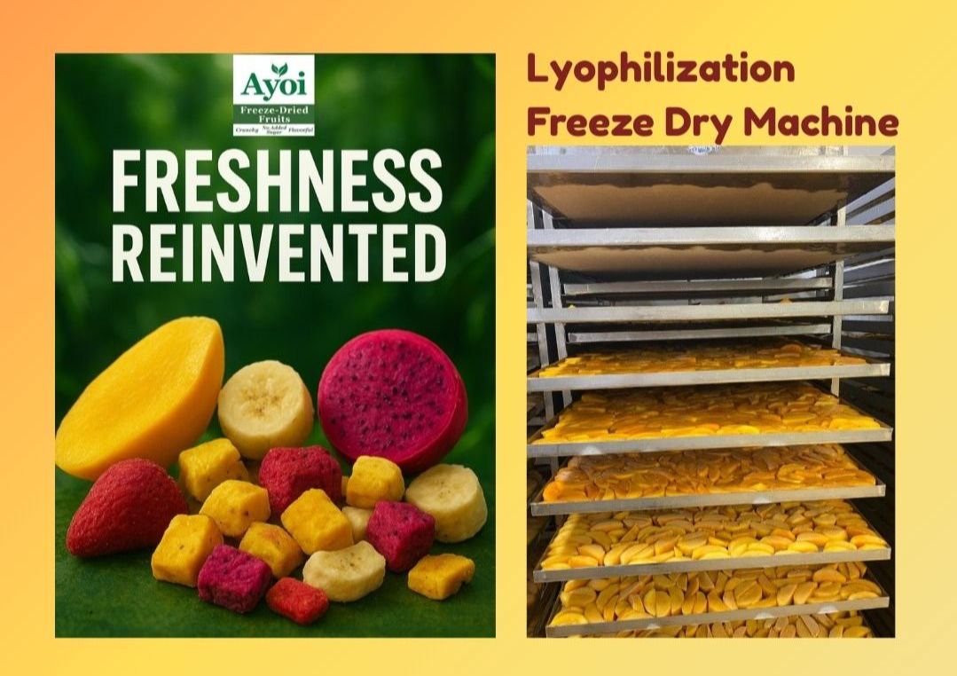 Lyophilization or freeze drying makes crunchy fruit pieces lyophilization fresh fruits and crunchy fruits